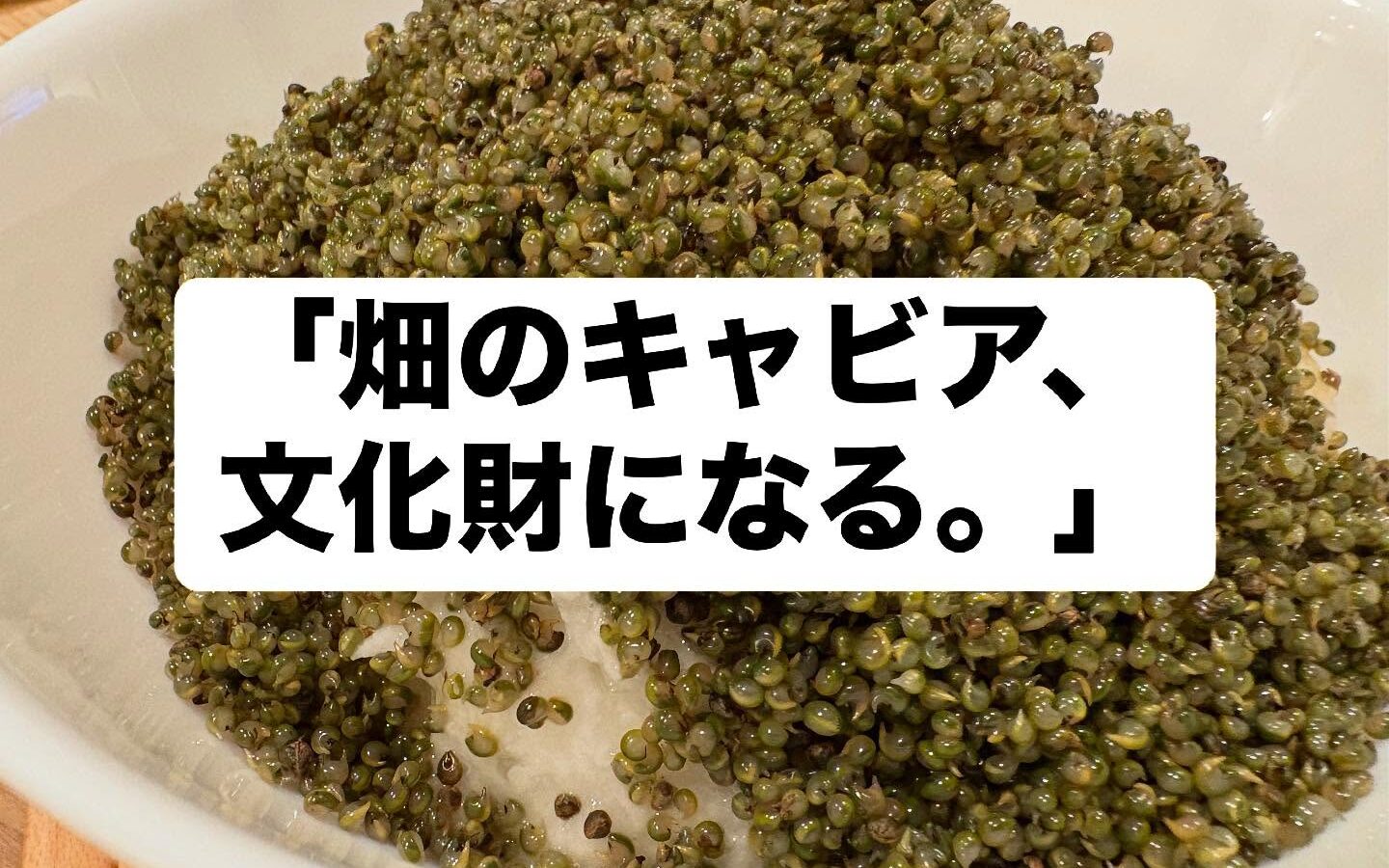 【大館とんぶり製造技術】