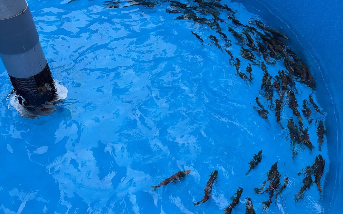 📍大館と十和田湖をつなぐ大切な道について話し合いました