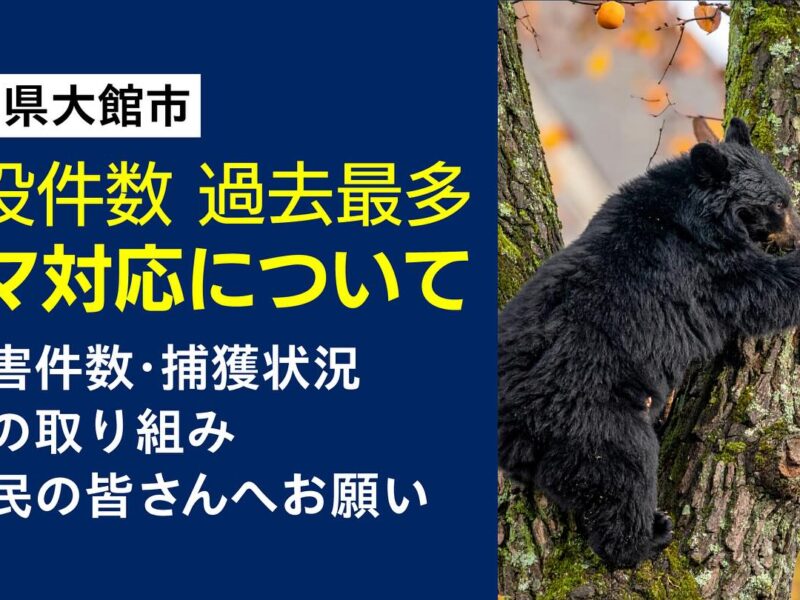 【クマ対策についての動画を公開しました】