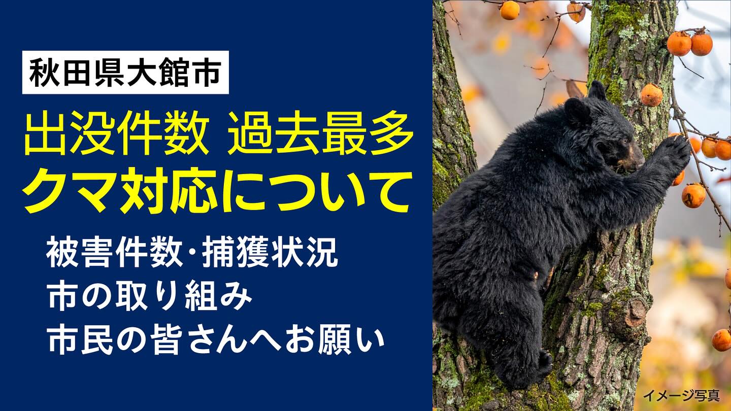 【クマ対策についての動画を公開しました】