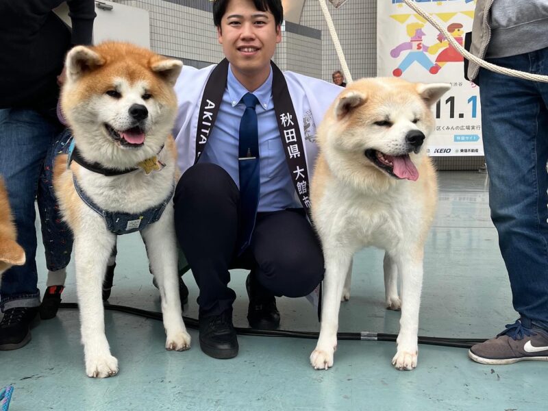 🐾【渋谷で「秋田犬」と「大館の味」をお届けしました！】