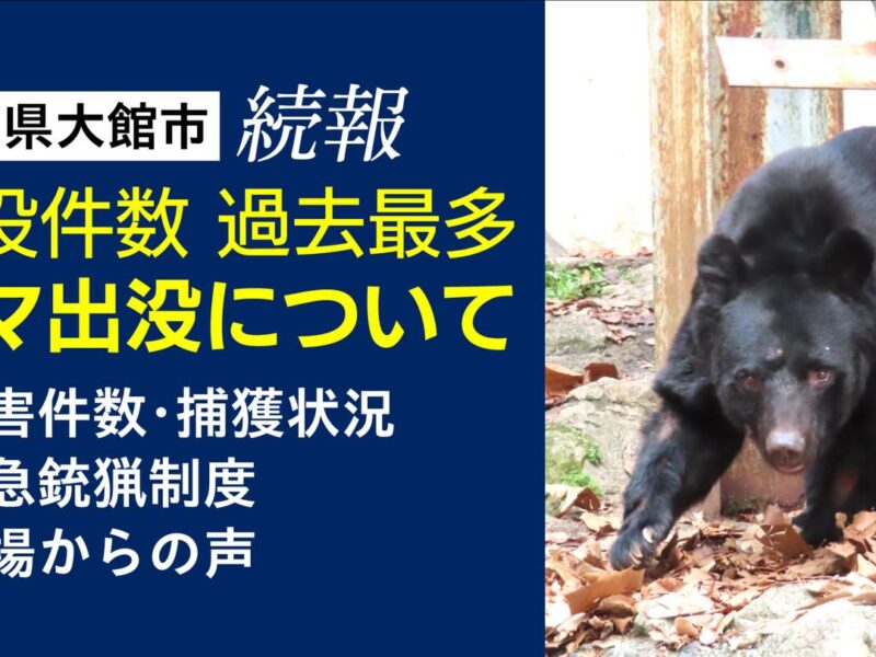 【📺 11/18配信｜クマ出没についての重要なお知らせ】