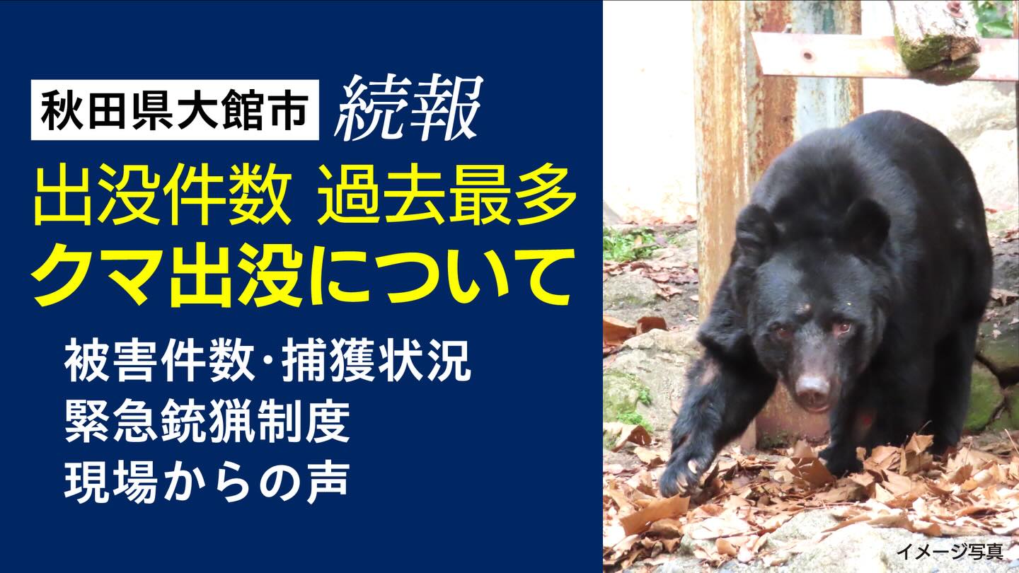 【📺 11/18配信｜クマ出没についての重要なお知らせ】