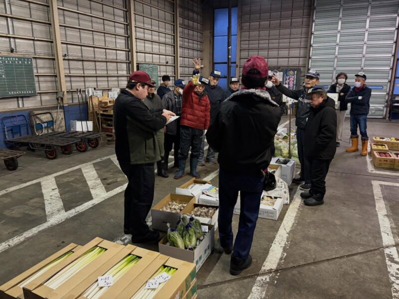 【卸売市場 新年初セリ】