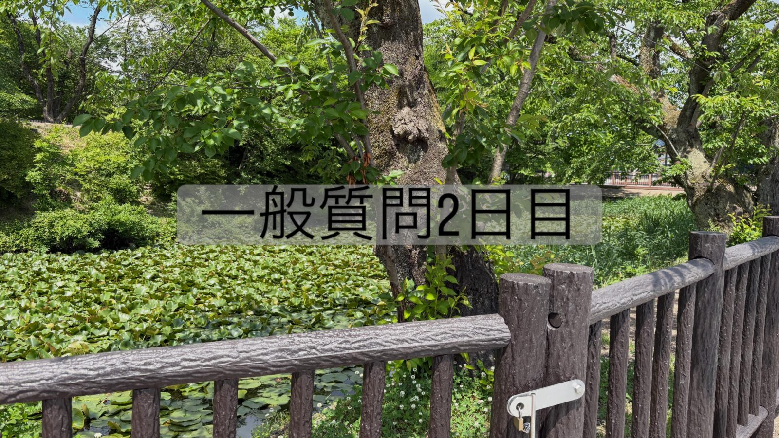 【一般質問2日目を終えて】