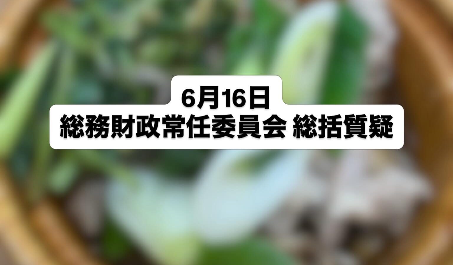 【総務財政常任委員会 総括質疑】