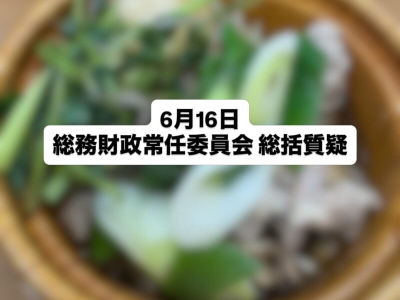 【総務財政常任委員会 総括質疑】