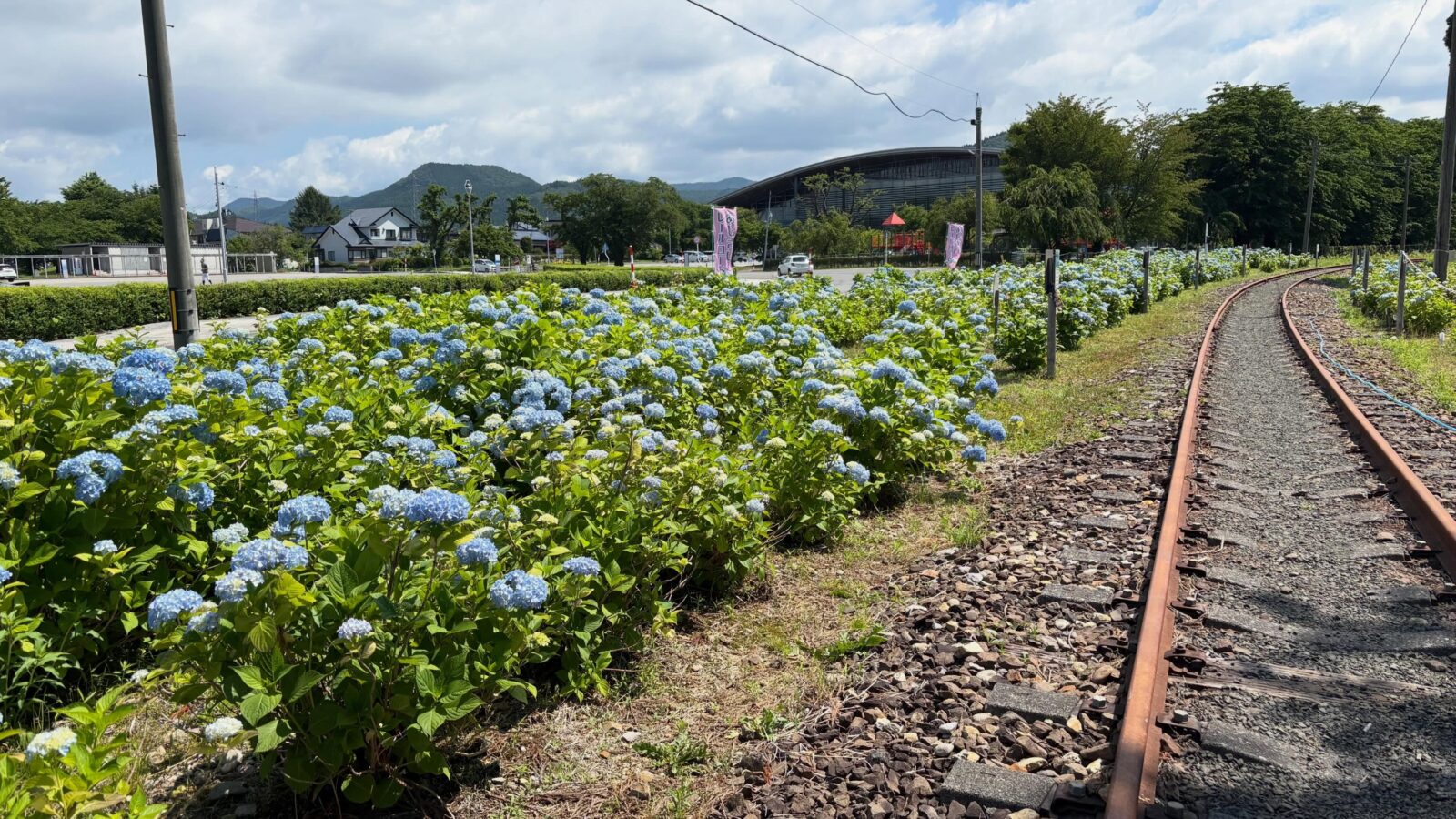 約3,000本のあじさいが彩る、旧小坂鉄道沿線へ💠🚃
