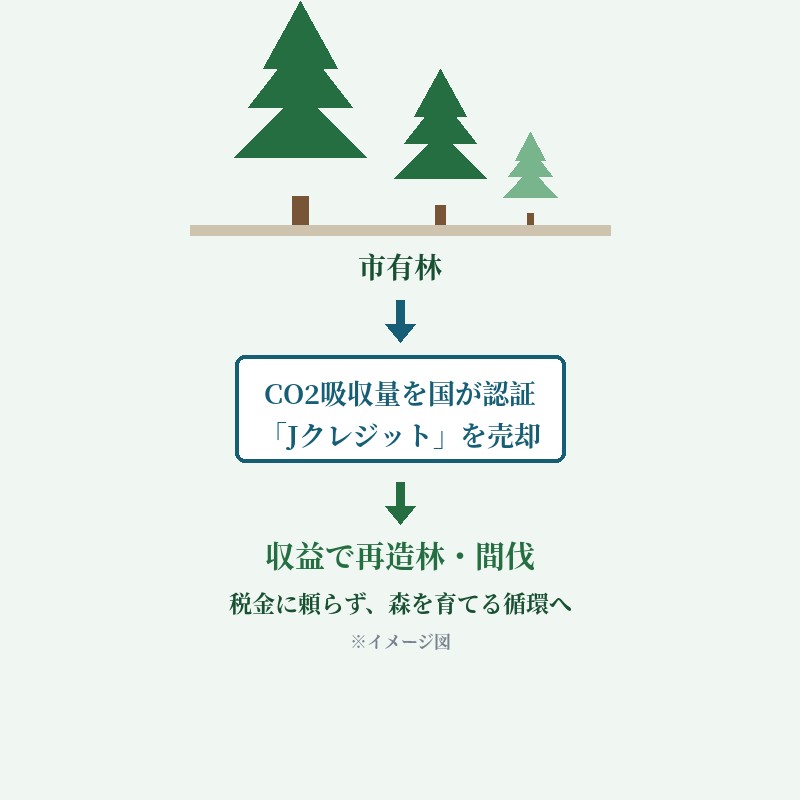 市有林Jクレジットの仕組み(イメージ図)